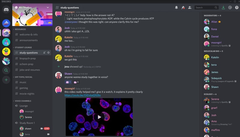 cara join discord