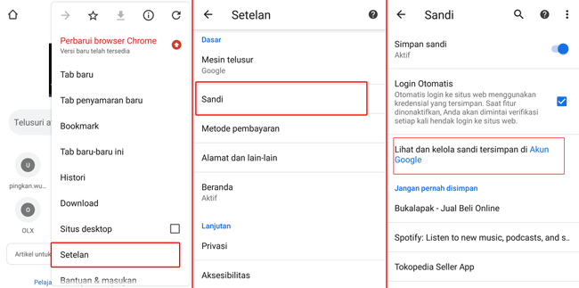 cara melihat password email