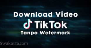 Download Video TikTok tanpa Watermark