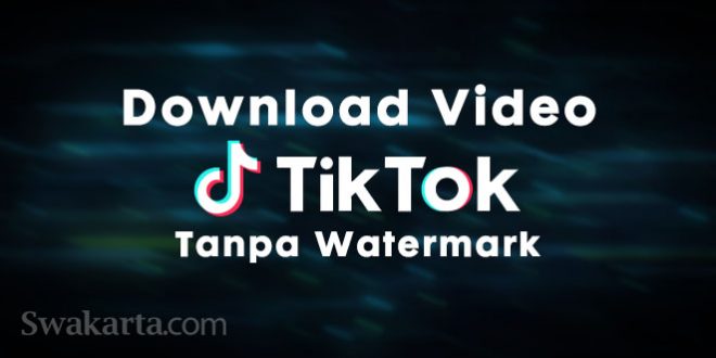 Download Video TikTok tanpa Watermark