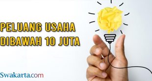 peluang usaha dibawah 10 juta