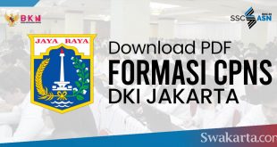 Formasi CPNS 2021 Provinsi DKI Jakarta