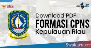 Formasi CPNS 2021 Provinsi Kepulauan Riau