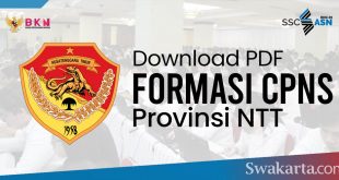 Formasi CPNS 2021 Provinsi NTT