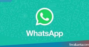 backup data whatsapp