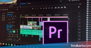 export video di adobe