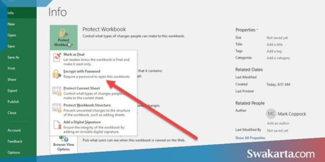 menghilang password di excel