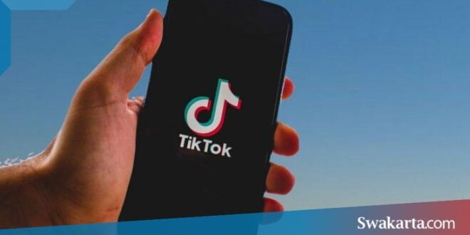 melihat history tiktok