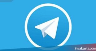 mencari film di telegram