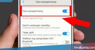 mengaktifkan opsi pengembangan xiaomi