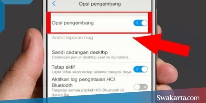 mengaktifkan opsi pengembangan xiaomi