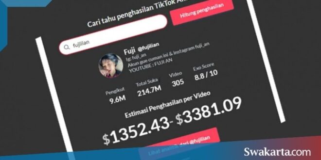 Cek Penghasilan Tiktok