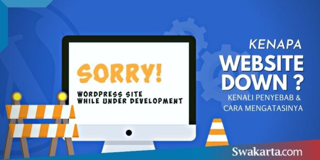 penyebab website down