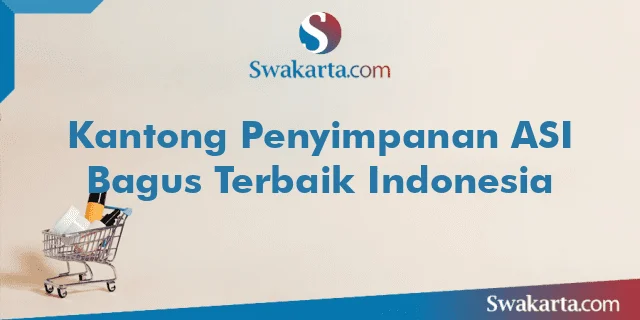 Kantong Penyimpanan ASI Bagus Terbaik Indonesia