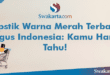 Lipstik Warna Merah Terbaik Bagus Indonesia: Kamu Harus Tahu!